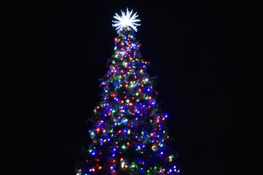 The tree lights up at the Mundelein Tree Lighting that took place on Dec. 6, 2019. 
