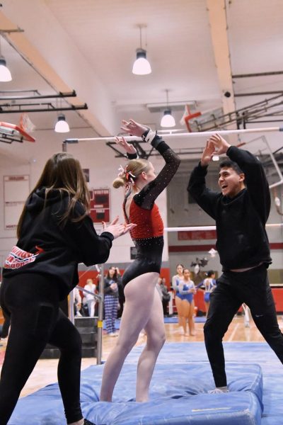 Gymnast Lexie Ede represents Mundelein at IHSA Girls Gymnastics competition