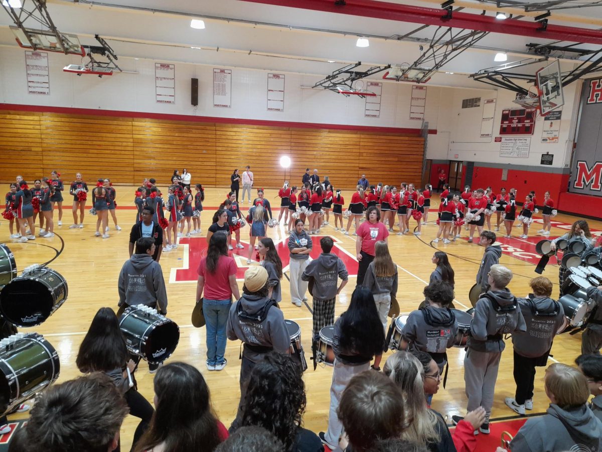 Newsworthy Mustangs